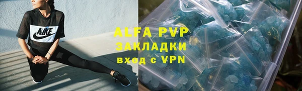 твердый Иннополис