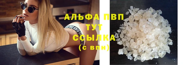 хмурый Каменка