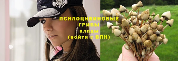 хмурый Каменка