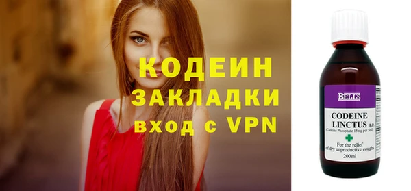 хмурый Каменка