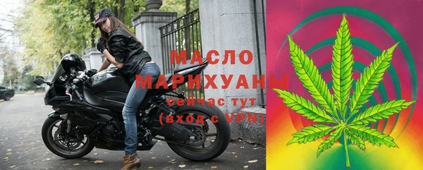 хмурый Каменка