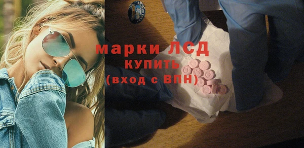хмурый Каменка