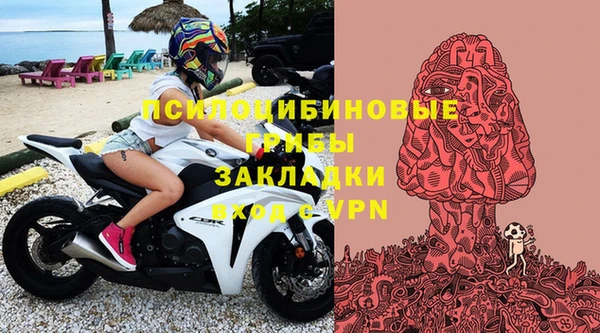 хмурый Каменка