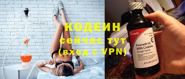 хмурый Каменка